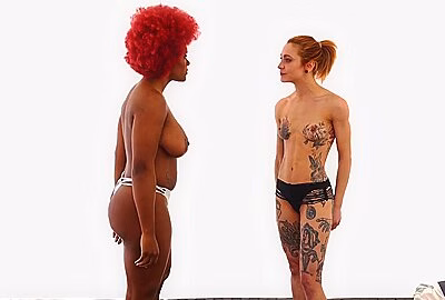 Ivy Vs Stella